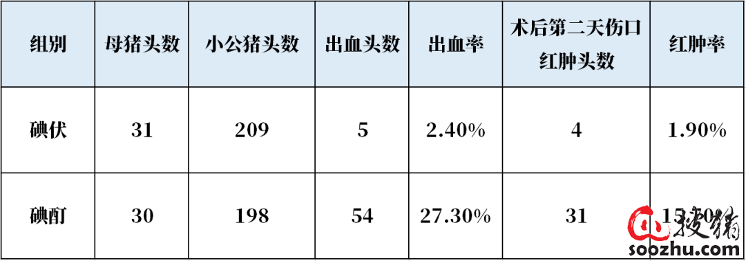 IM电竞 IM电竞官网碘酊和碘伏不知道何种情况下使用？给猪只伤口消毒的消毒剂你用对了吗？(图1)