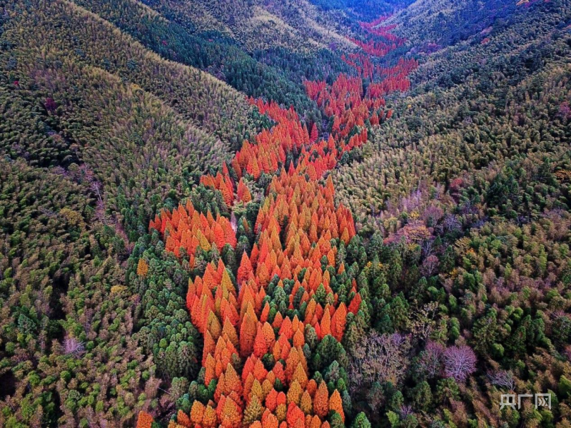 IM电竞好风凭借力 扬帆正当时——写在第二届株洲旅游发展大会在炎陵举办之际(图2)