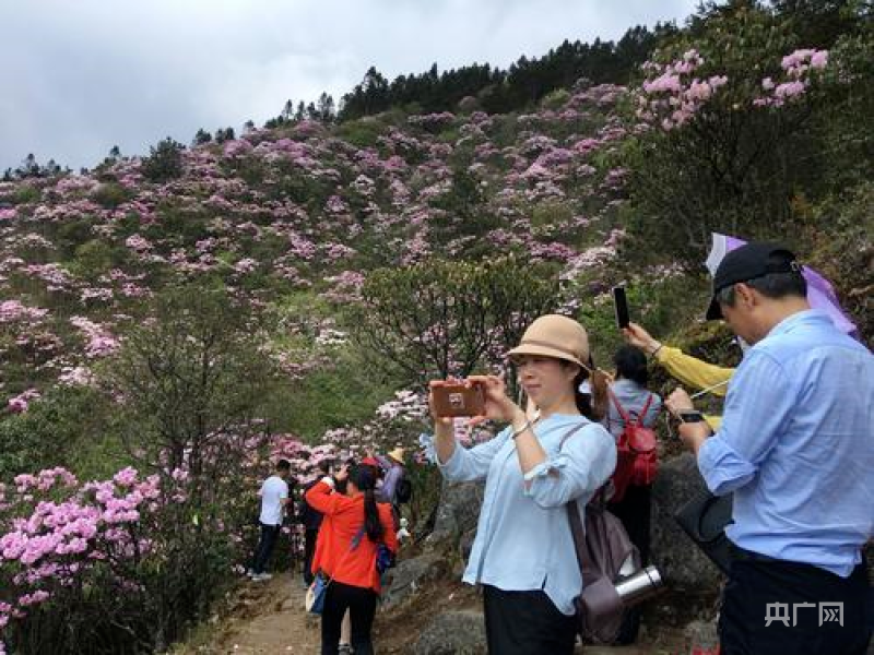 IM电竞好风凭借力 扬帆正当时——写在第二届株洲旅游发展大会在炎陵举办之际(图5)