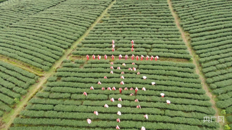 IM电竞好风凭借力 扬帆正当时——写在第二届株洲旅游发展大会在炎陵举办之际(图8)