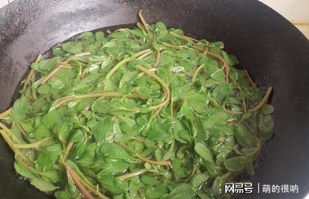 它是“天然杀菌素”简单一拌抗菌消炎还驱暑三伏天不懂吃可惜！(图3)