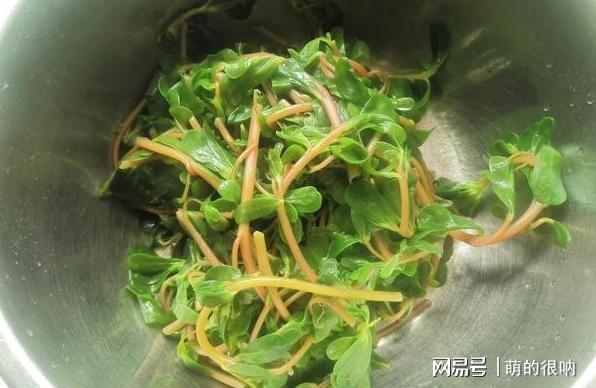 它是“天然杀菌素”简单一拌抗菌消炎还驱暑三伏天不懂吃可惜！(图5)