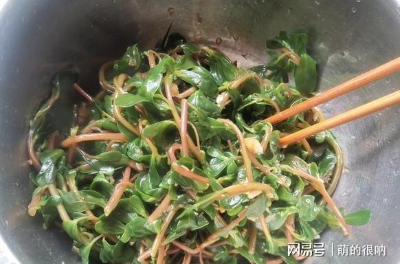 它是“天然杀菌素”简单一拌抗菌消炎还驱暑三伏天不懂吃可惜！(图8)